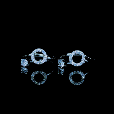VisionEye_2025-04-24 05_08_40 +0000