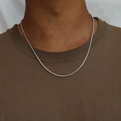silver chain 1